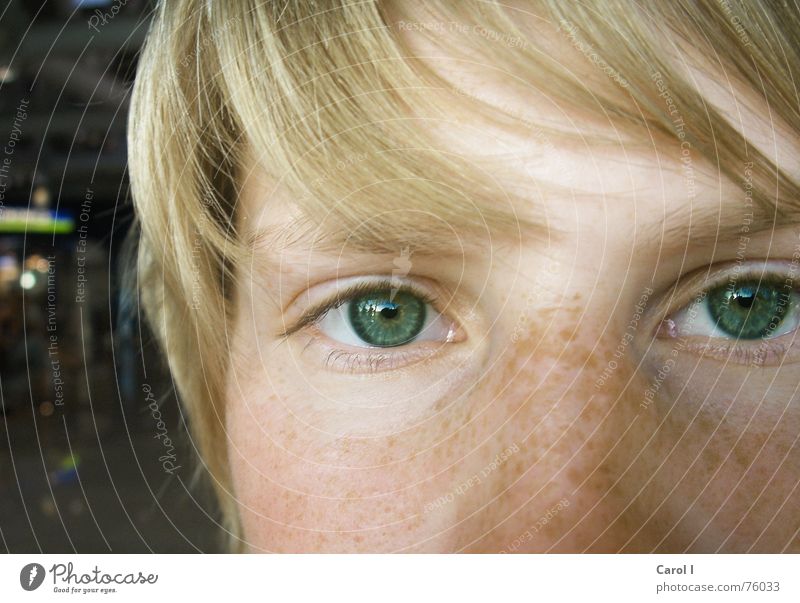 Ungeschminkt Sommersprossen blond Frau direkt Lomografie Auge blau Gesicht Blick Haare & Frisuren Detailaufnahme Nahaufnahme Bildausschnitt Anschnitt