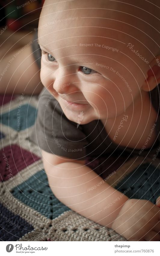 Babyleben maskulin Kopf 1 Mensch 0-12 Monate beobachten entdecken krabbeln Lächeln lernen liegen Glück klein Fröhlichkeit Begeisterung Vertrauen Sicherheit