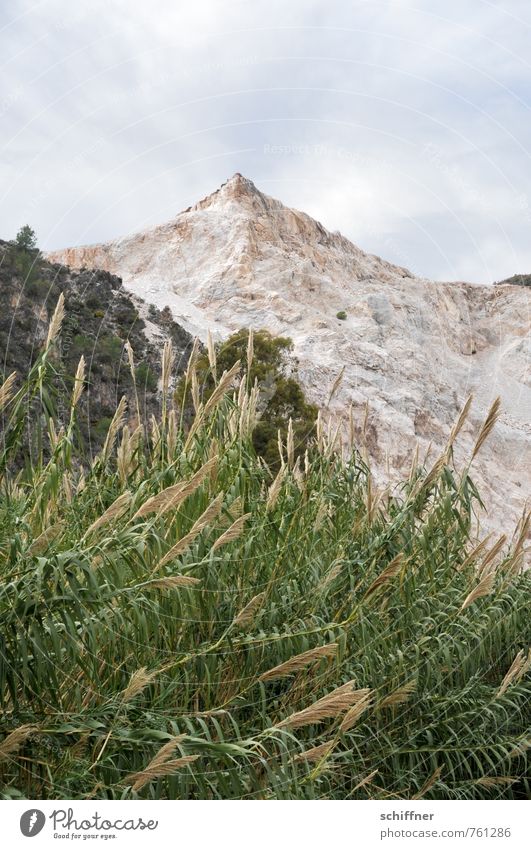 Der Gipfel Umwelt Natur Landschaft Wolken Pflanze Grünpflanze Felsen Berge u. Gebirge trocken Spitze Steinbruch Schilfrohr grau Fenster Bergbau Außenaufnahme