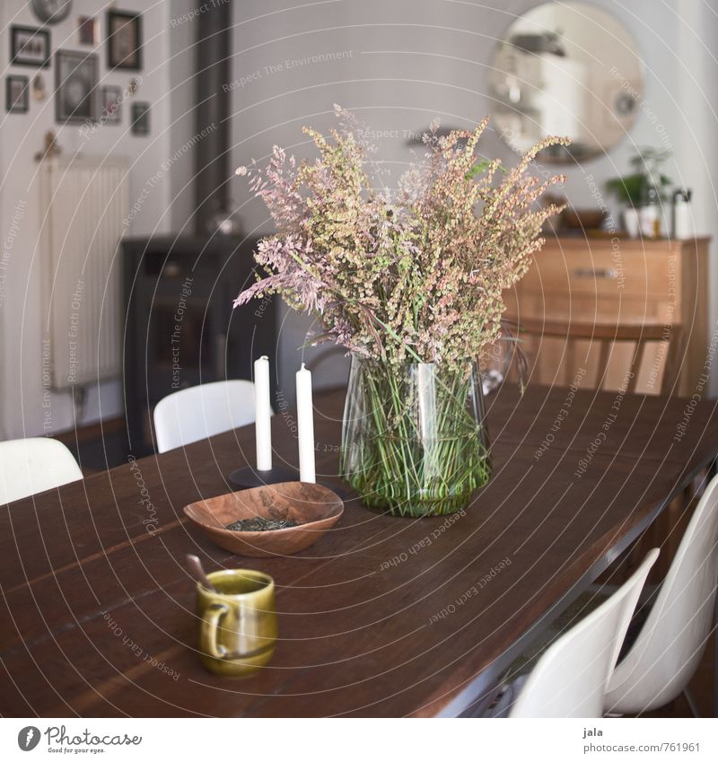 küchentisch Tasse Häusliches Leben Wohnung Innenarchitektur Dekoration & Verzierung Möbel Stuhl Tisch Spiegel Küche Kommode Pflanze Wildpflanze Blumenstrauß