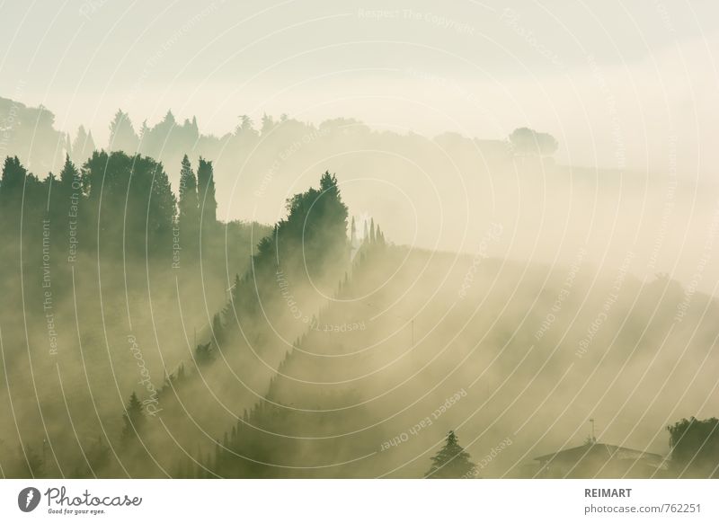 Toskana Landschaft Himmel Nebel Baum Wiese Feld Blick Glück Fröhlichkeit Zufriedenheit Warmherzigkeit Farbfoto Außenaufnahme Menschenleer Textfreiraum links