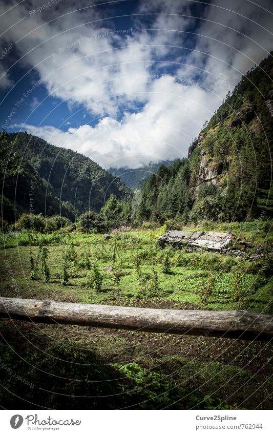 Greenmile Natur Landschaft Pflanze Tier Urelemente Erde Himmel Wolken Sommer Gras Wiese Feld Wald Ferne frei Hütte Haus grün Berge u. Gebirge Nepal Himalaya