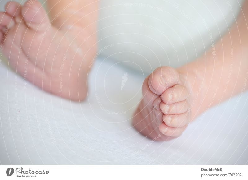 Zeig her deine Füße! Baby Beine Fuß Zehen Zehennagel 1 Mensch 0-12 Monate liegen klein rosa weiß Kindheit nackt Barfuß Farbfoto Innenaufnahme Nahaufnahme