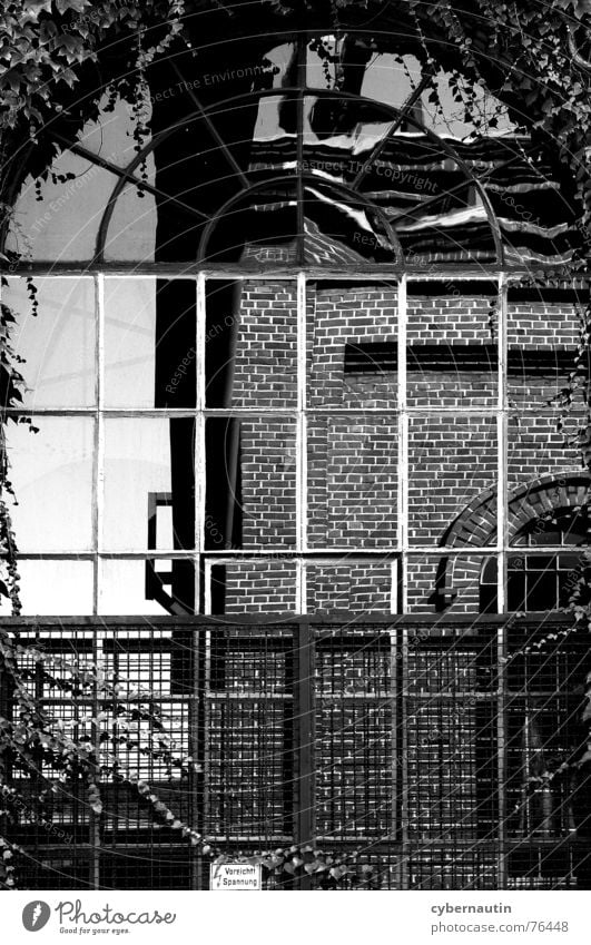Industrieromantik Gebäude Bergbau Fenster Leitersprosse Stahl Backstein Fassade Efeu Reflexion & Spiegelung Romantik Industriefotografie Vergangenheit Glas