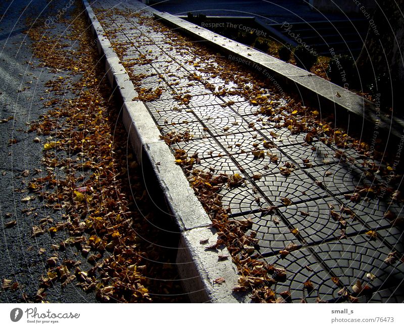Now i feel the autumn... gelb paving-stone pavement leaves late street sun