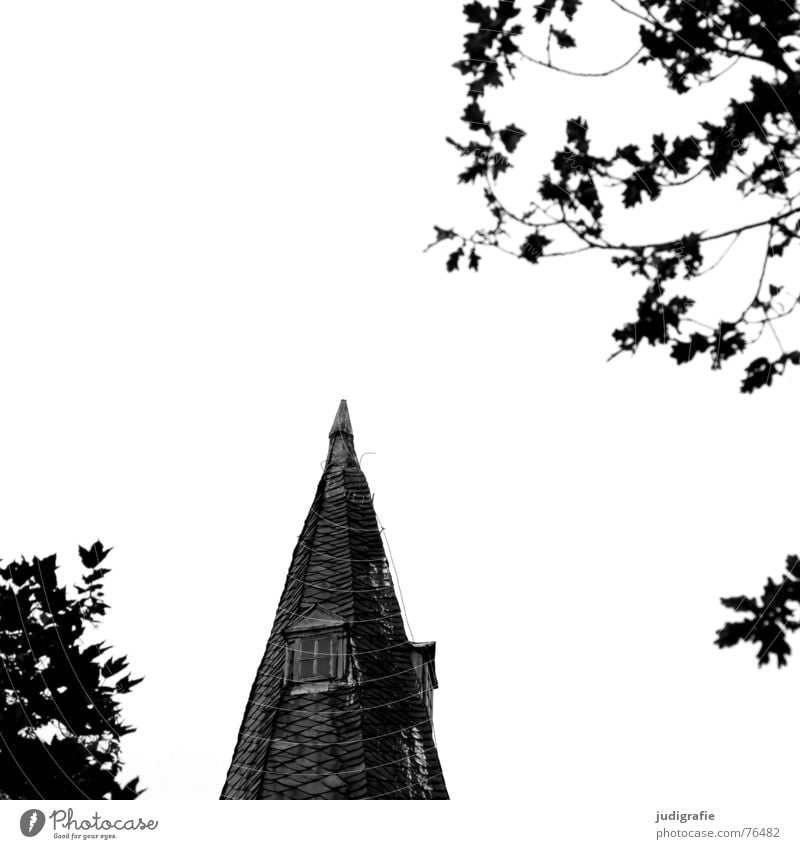 Spitze mit Fenstern Kirchturm Baum Blatt schwarz weiß Eiche Religion & Glaube Kloster wennigsen Kontrast dachhäuschen blitzableiter Neigung