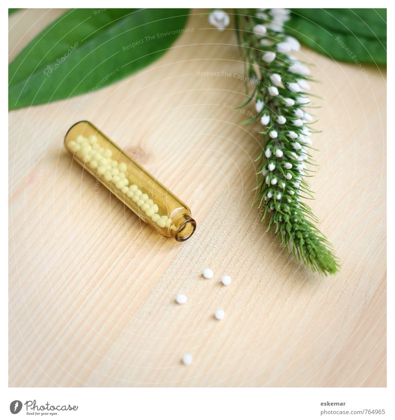 Globuli Gesundheit Behandlung Alternativmedizin Medikament Wellness harmonisch Natur Blume Blatt Blüte Kugel grün weiß homöopathisch homöopathische sanft
