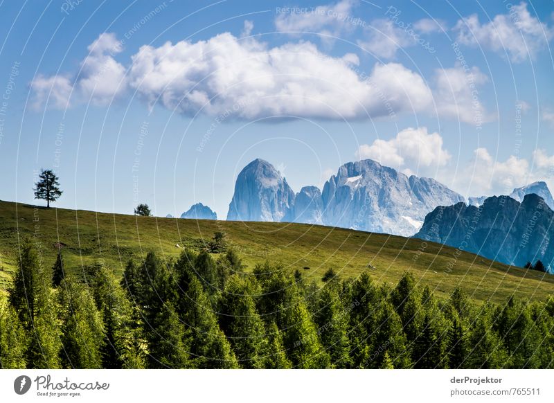 Grün-blau-weiß-Dolomiti Ferien & Urlaub & Reisen Tourismus Ausflug Berge u. Gebirge wandern Umwelt Natur Landschaft Pflanze Urelemente Wolken Sommer Baum Gras