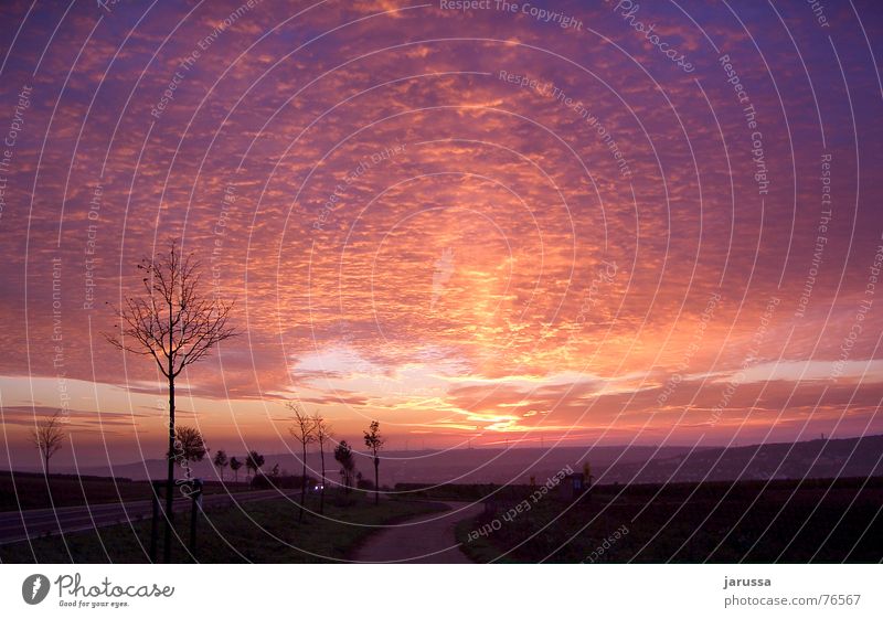 Sonnengruß Sonnenuntergang Sonnenaufgang Wolken Baum rot Hügel violett Straße Tal Windkraftanlage Abenddämmerung Gewitter Himmel Morgen Scheinwerfer