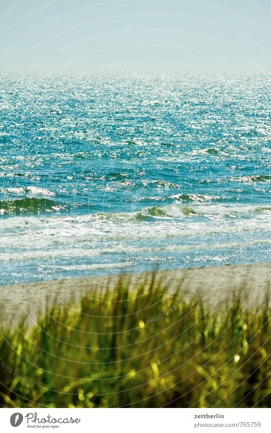 Meer Erholung Ferien & Urlaub & Reisen göhren Horizont Küste Mecklenburg-Vorpommern Ostsee Strand See Wellen Wind Brandung Beginn Wasser Wasseroberfläche