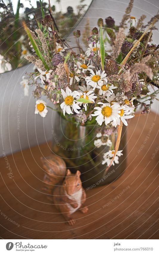 verblüht Pflanze Blume Blüte Blumenstrauß Vase Spiegel Figur Eichhörnchen ästhetisch schön wild Farbfoto Innenaufnahme Menschenleer Tag
