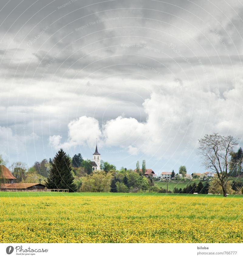 Wahlern Schwarzenburg Schweiz Europa Dorf Kirche Idylle Sommer Wolkenhimmel Farbfoto Außenaufnahme Menschenleer
