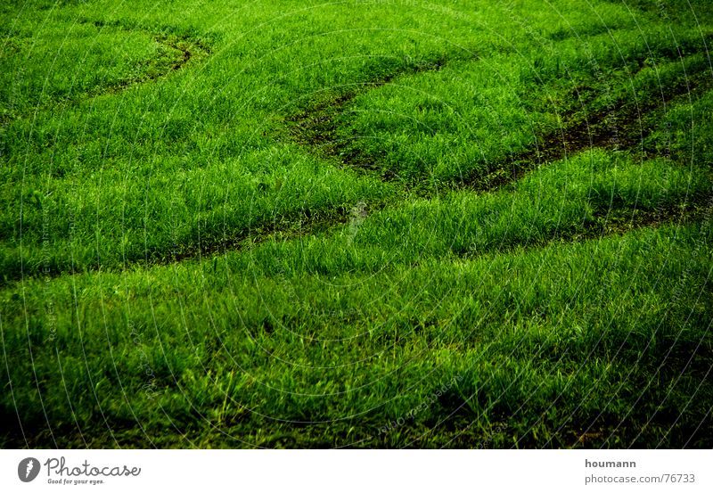 Tractose 3 Muster Feld Physik grün Gras tractor tracks shadows Schatten Spuren field Wärme Traktorspur