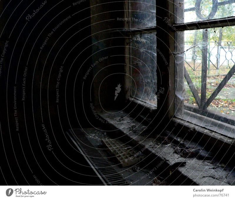 Glasklar. Klarheit Fenster Leitersprosse Sprossenfenster Ruine dreckig trüb dunkel Herbst Treptow Treptower Park Fensterbrett Trauer schön Spinnennetz Staub