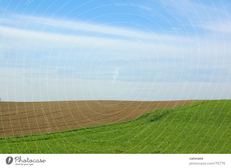 - agrarimpresionen II- Wolken Wiese grün Feld Farbenspiel Himmel Landschaft