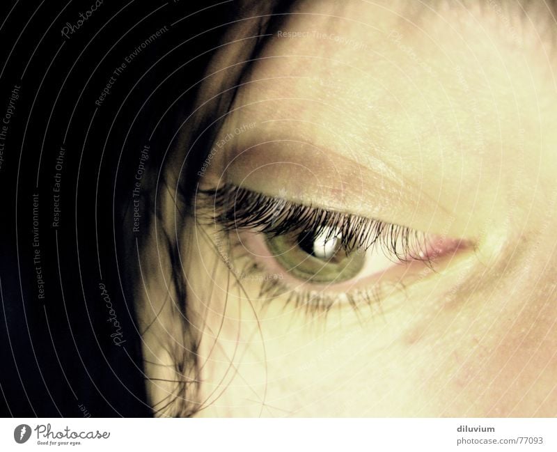 instrument Pupille Blick Auge Regenbogenhaut Makroaufnahme Haare & Frisuren Haut Gesicht Wimpern Frauenaugen Frauengesicht Gesichtsausschnitt Detailaufnahme