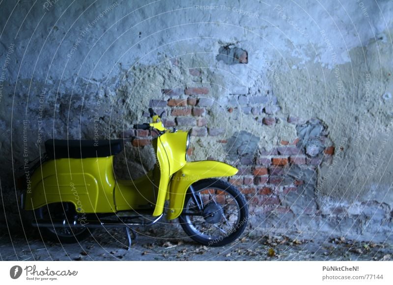 gelber vogel Schwalben Wand Auspuff fahren Verkehr Motor Kleinmotorrad alt Rad Sitzgelegenheit fahrtzeug