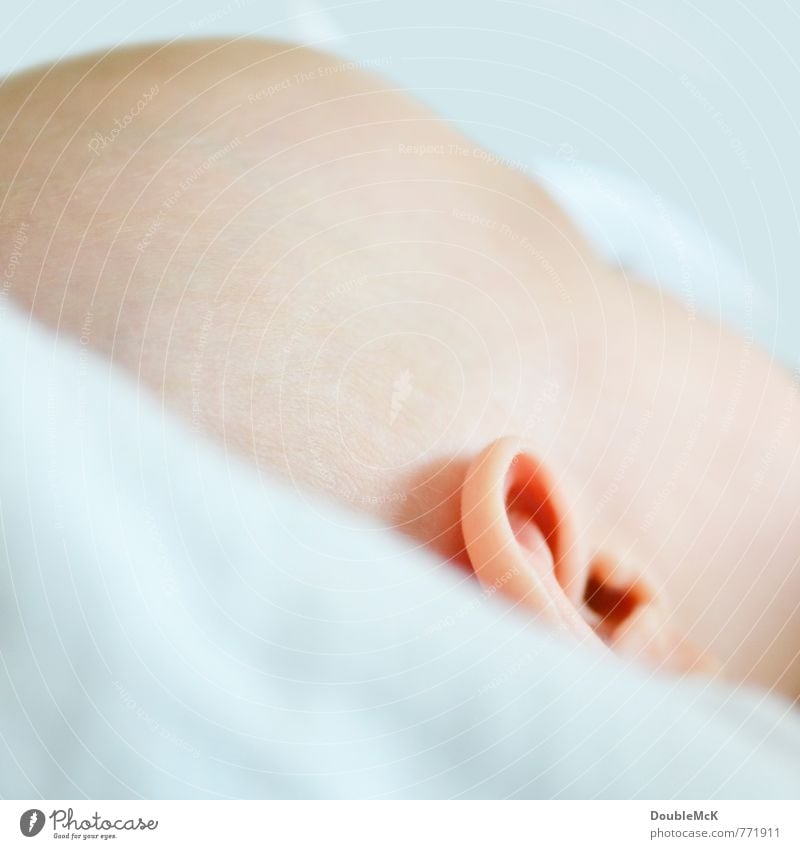 Du siehst mich nicht! Baby Kopf Ohr 1 Mensch 0-12 Monate liegen schlafen weich rosa ruhig Erholung Kindheit Pause Farbfoto Gedeckte Farben Innenaufnahme