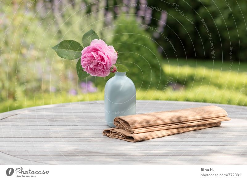 Sommer Rose Garten Wiese Blühend Lebensfreude Gartentisch Holztisch Vase Stillleben Blumenstrauß Tischdekoration Farbfoto Außenaufnahme Menschenleer