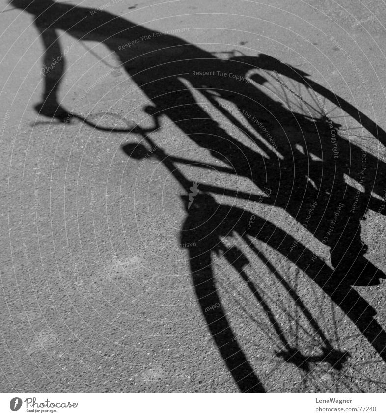 fahrradfahren Fahrrad schwarz grau Fahrer Straße Speichen Rahmen