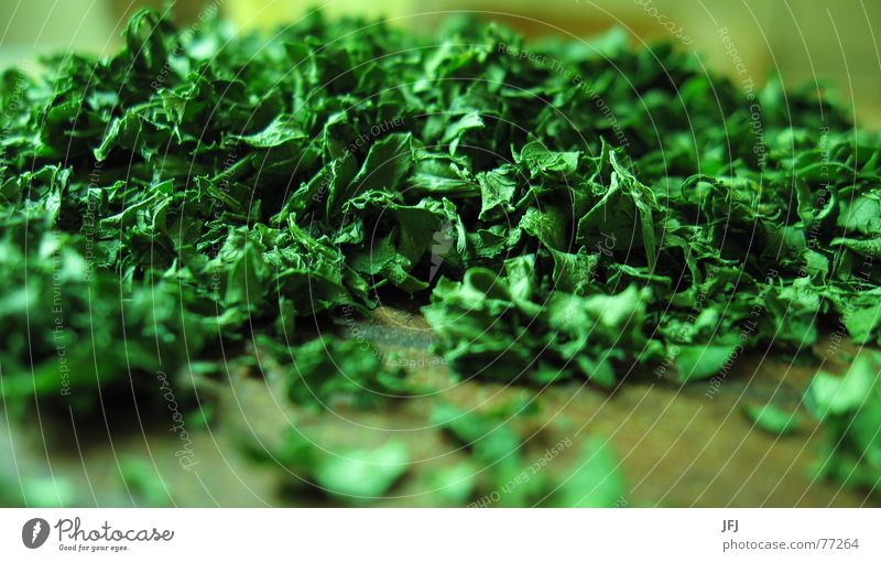 Petersilie grün Kräuter & Gewürze Blatt Haufen hacken Küche kochen & garen Nahaufnahme Ernährung Würzig