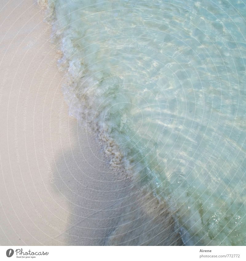 sommerliche Leichtigkeit Natur Urelemente Sand Wasser Küste Strand Meer Atlantik hell nass blau rosa Reinheit Erholung zart hell-blau blassblau leicht