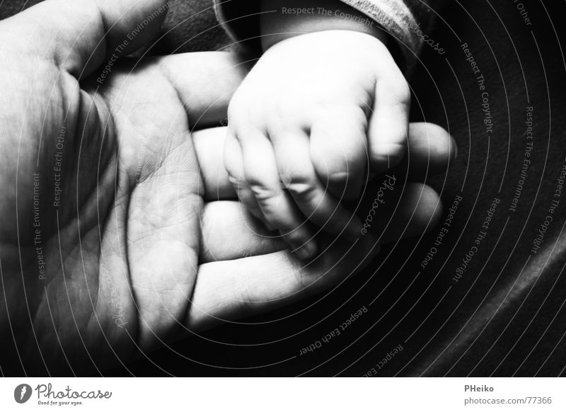 Hand in Hand Geborgenheit Baby Finger Vater Mutter Kind Zärtlichkeiten Sicherheit Hilfsbereitschaft Schwarzweißfoto papi Erwachsene