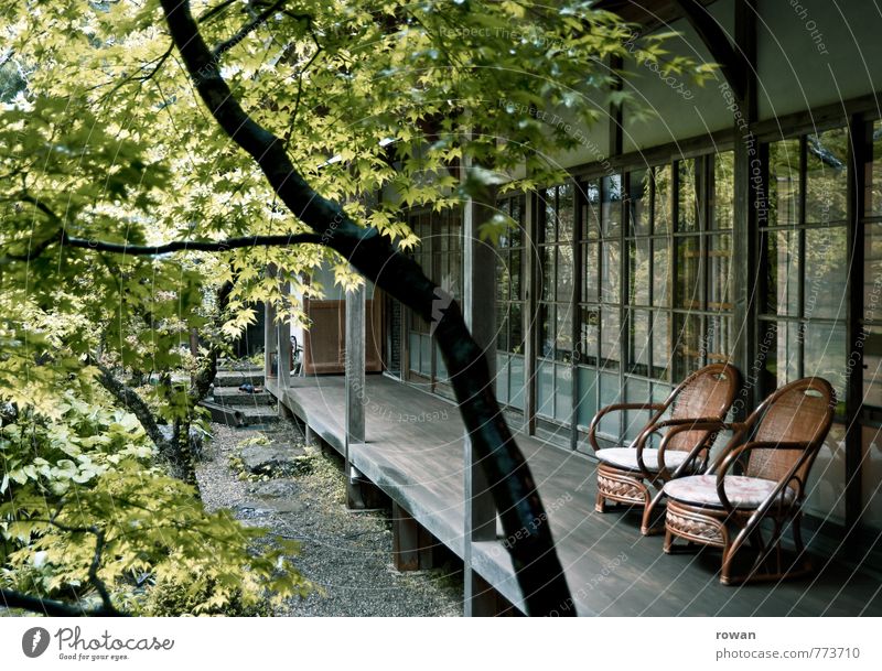 sitzplatz Baum Haus Bauwerk Gebäude Architektur Terrasse grün Stuhl Gartenstuhl Bambusstuhl Japanischer Ahorn Japanischer Garten Schiebetür Glasfassade