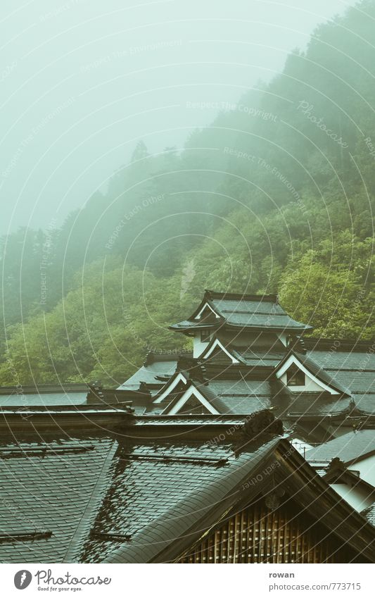 tempel Landschaft schlechtes Wetter Unwetter Nebel Regen Baum Wald Hügel Felsen Berge u. Gebirge Kirche Bauwerk Gebäude Architektur Dach nass Tempel Asien Japan