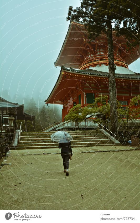danjo garan Natur schlechtes Wetter Unwetter Nebel Regen Baum exotisch Pagode Tempel Japan Regenschirm Romantik Religion & Glaube Buddhismus Spaziergang
