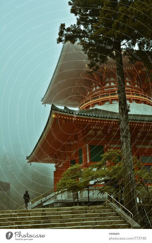 tempel Mensch feminin Junge Frau Jugendliche Sehenswürdigkeit Denkmal exotisch Tempel Pagode Pagodendach rot Nebel geheimnisvoll mystisch Buddhismus Japan Dunst
