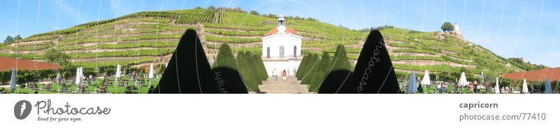 Hofansicht Schloss Wackerbarth Panorama (Aussicht) Weinberg Kultur Außenaufnahme Radebeul Burg oder Schloss wackerbarth kunst hofansicht groß