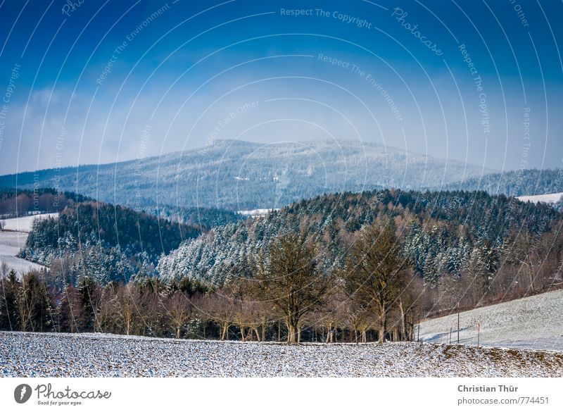Angezuckertes Hügelland Leben harmonisch Wohlgefühl Zufriedenheit Sinnesorgane Erholung ruhig Meditation Schnee Winterurlaub Berge u. Gebirge wandern Umwelt