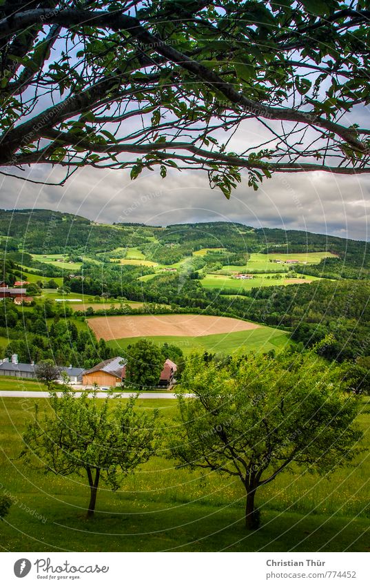 Hügelland Aussicht vom Pöllauberg Glück Erholung ruhig Meditation Spa Ferien & Urlaub & Reisen Tourismus Ausflug Sonne Natur Landschaft Wolken Sommer