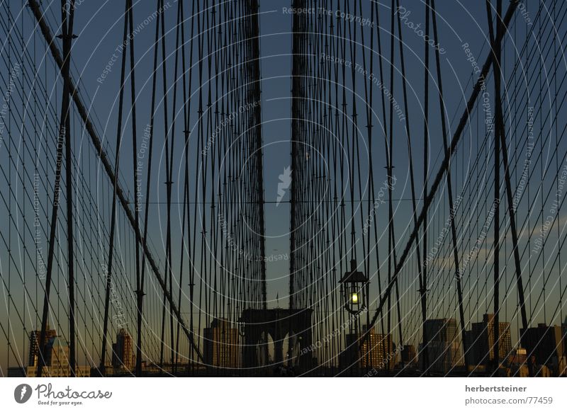Brooklyn Bridge New York City Gitter Symmetrie dunkel Menschenleer Brücke Abend Himmel Stadt