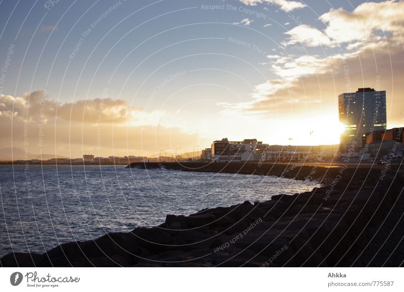 durchleutet Wasser Himmel Wolken Sonne Schönes Wetter Küste Bucht Meer Reykjavík Island Hauptstadt Stadtrand Skyline Menschenleer Hochhaus frei blau gelb