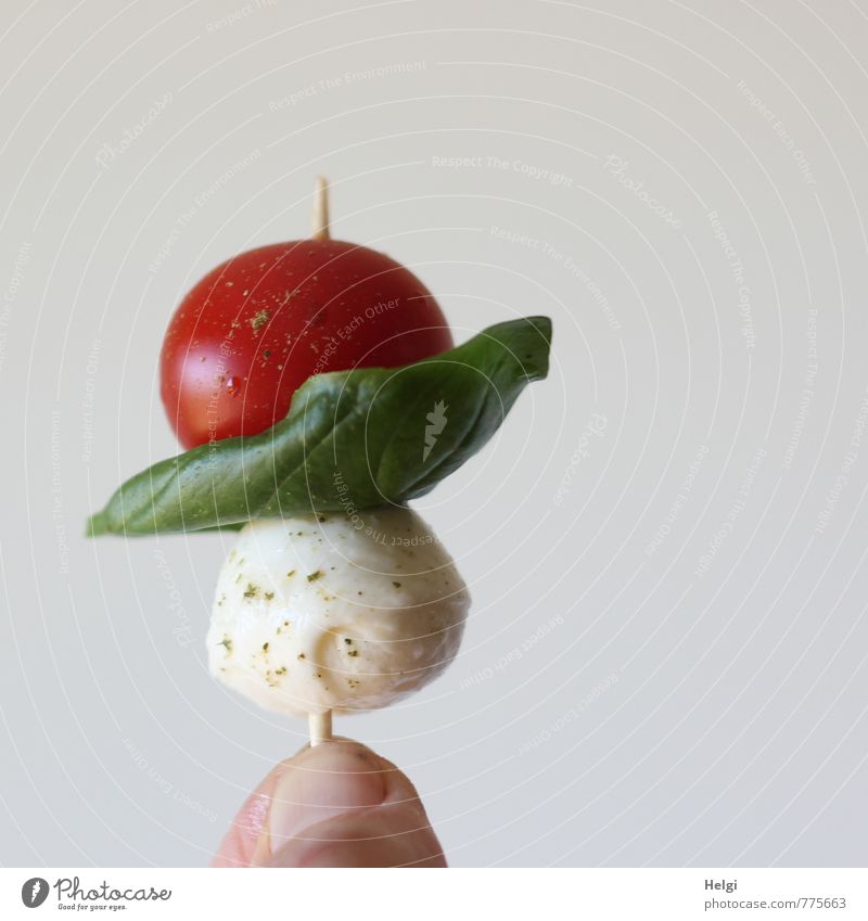Fingerfood... Lebensmittel Käse Frucht Kräuter & Gewürze Tomate Basilikum Ernährung Picknick Bioprodukte Vegetarische Ernährung Mensch aufgespiesst Essen