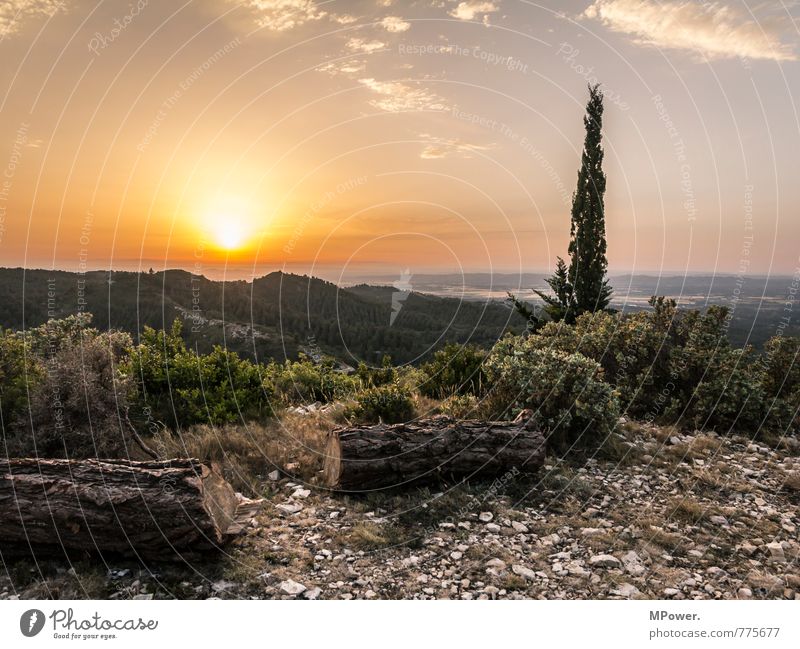 Le Baux Umwelt Landschaft Pflanze Tier Himmel Baum alt Olivenbaum Sonnenuntergang Sonnenaufgang Berge u. Gebirge Provence steinig Gegenlicht