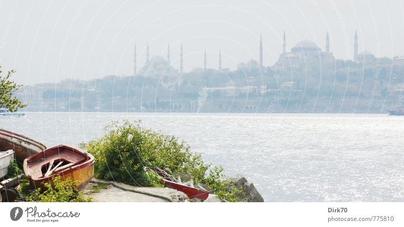Asiatische Perspektive I Ferien & Urlaub & Reisen Tourismus Städtereise Sonne Sonnenlicht Schönes Wetter Sträucher Grünpflanze Felsen Wellen Küste Meer Bosporus