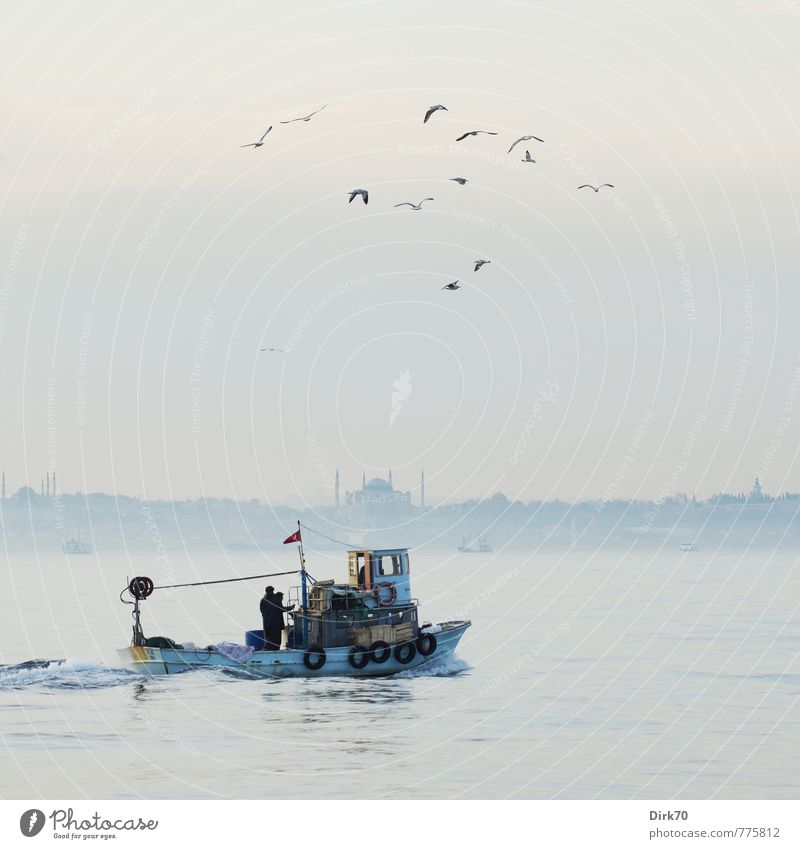 Den Fang einbringen Fisch Meeresfrüchte Fischer Fischereiwirtschaft Schönes Wetter Küste Bosporus Marmarameer Istanbul Türkei Hafenstadt Hagia Sophia