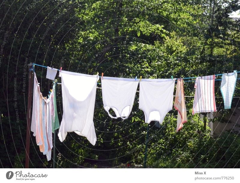 Reine Reihe Häusliches Leben Garten Sonne Sonnenlicht Sommer Bekleidung T-Shirt Unterwäsche Stoff nass Sauberkeit trocken weiß Reinlichkeit Reinheit Wäscheleine