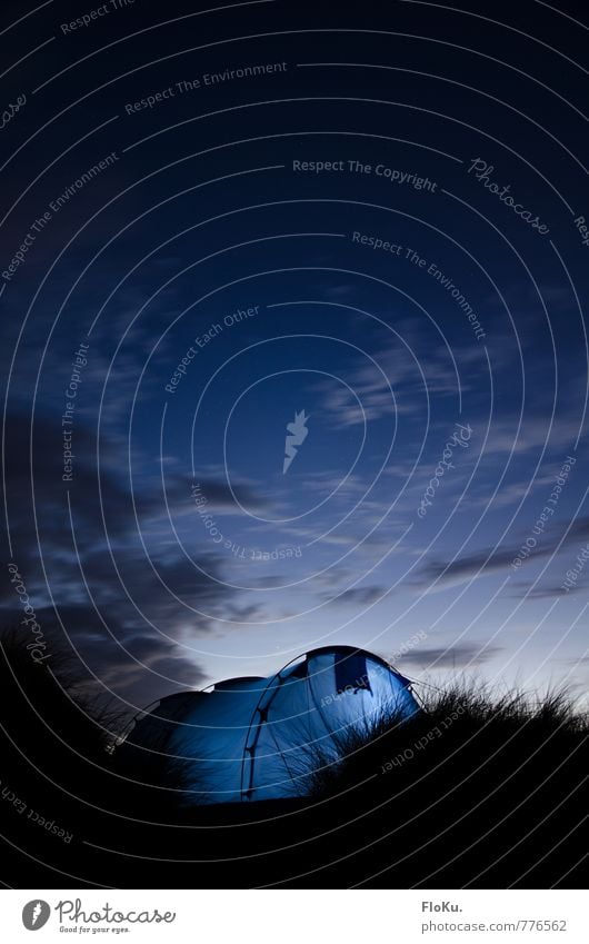 Dünencamping Ferien & Urlaub & Reisen Ausflug Abenteuer Ferne Freiheit Expedition Camping Sommerurlaub Umwelt Natur Himmel Wolken Nachthimmel Stern Gras