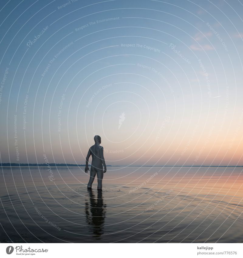 silberfischchen Mensch maskulin Mann Erwachsene Körper 1 30-45 Jahre Umwelt Natur Landschaft Küste Seeufer Strand entdecken Sonnenuntergang Wasser Blick Held
