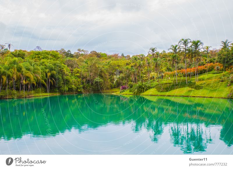 Kleiner See in Minas Gerais, Brasilien Umwelt Natur Landschaft Luft Wasser Wolkenloser Himmel Sommer Wärme Park Seeufer Freude Freundschaft Frieden Farbfoto