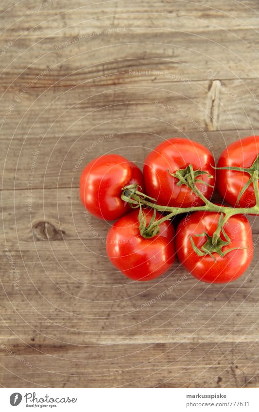 tomaten Lebensmittel Gemüse Tomate Solanum lycopersicum Sträucher Stengel Farbe rot Paradeiser elegant Stil Gesundheit Gesunde Ernährung Wellness