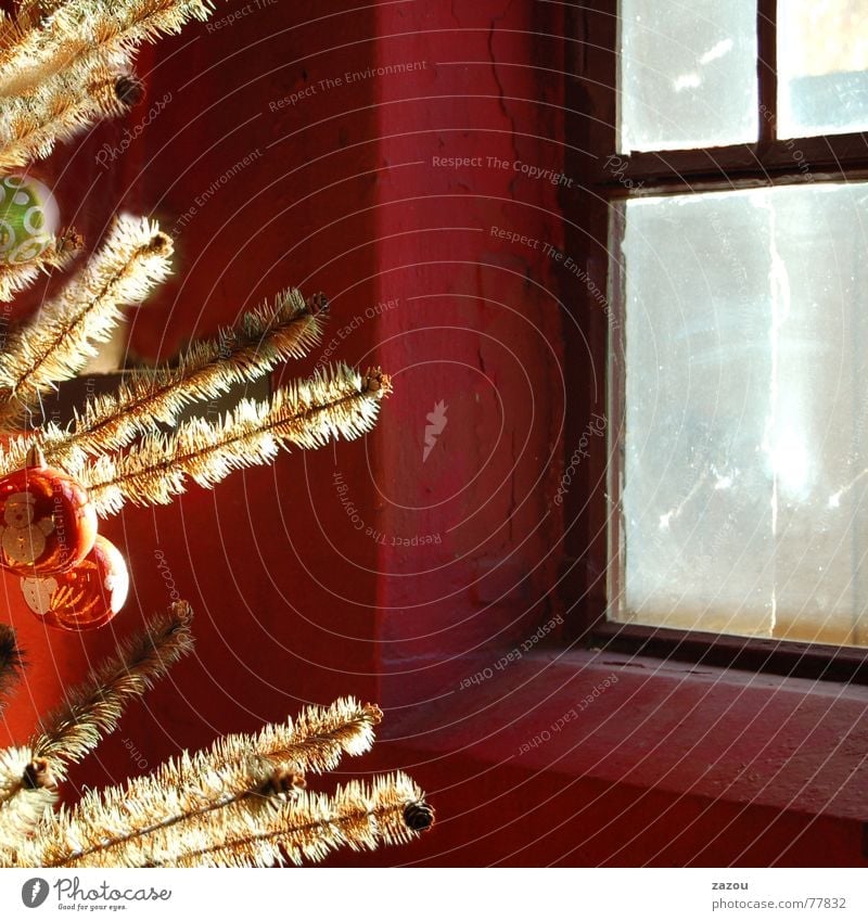 Weihnachtszauber Farbfoto Innenaufnahme Detailaufnahme ruhig Feste & Feiern Fenster träumen Religion & Glaube Tradition Weihnachtsbaum Weihnachtsdekoration