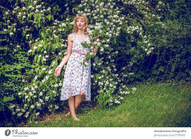 Weiße Blütenpracht & Sie feminin Junge Frau Jugendliche 1 Mensch Natur Pflanze Sträucher Grünpflanze Wildpflanze Garten Kleid blond langhaarig berühren Blühend