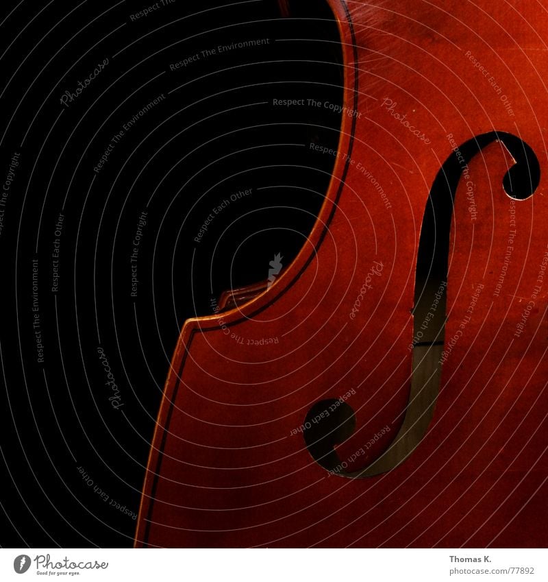 Das F-Loch Kontrabass Klang Holz dunkel Spielen hören rot braun schwarz Konzert Resonanz Veilchengewächse Orchester Jazz Blues Swing Musik Feedback Lied singen