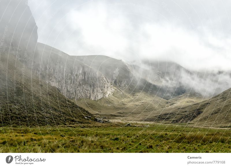 Die Anden in Ecuador Ferien & Urlaub & Reisen Tourismus Abenteuer Expedition Berge u. Gebirge wandern Umwelt Natur Landschaft Wolken Nebel Gras Sträucher Hügel