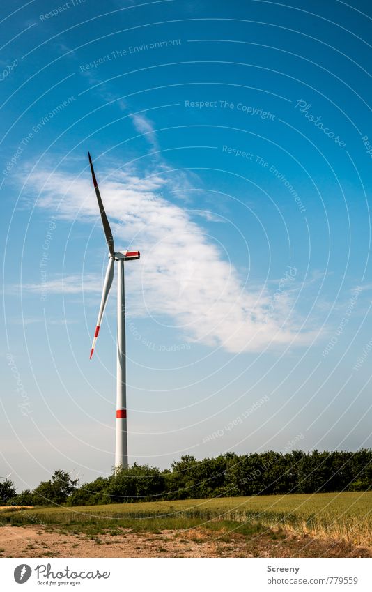 Windkraftsammler #1 Energiewirtschaft Erneuerbare Energie Windkraftanlage Himmel Wolken Frühling Sommer Feld Eifel groß hoch blau grün weiß Kraft Umwelt